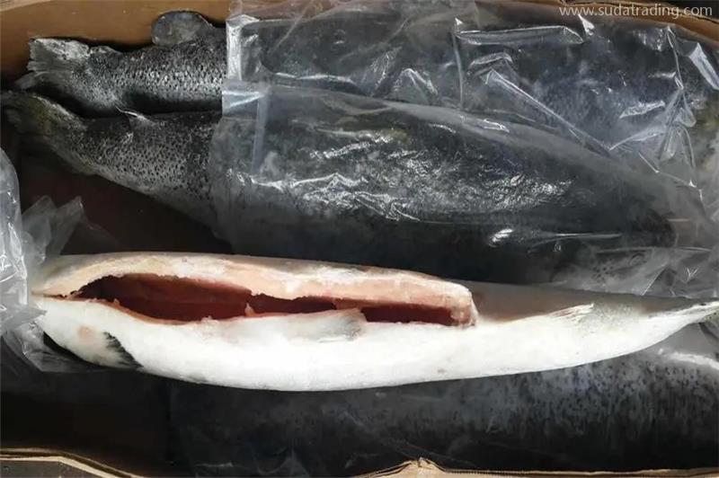 進口挪威三文魚清關注意事項看這里了解 進口挪威三文魚清關注意事項看這里了解