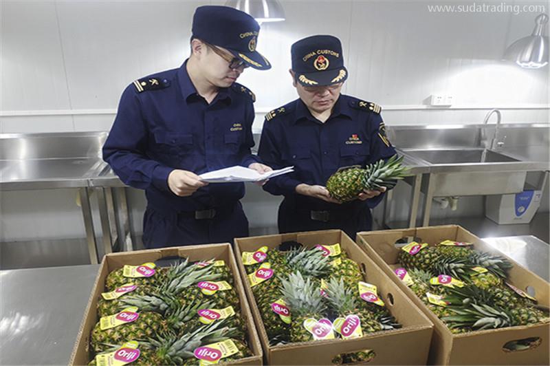 進(jìn)口印度尼西亞鮮菠蘿報(bào)關(guān)所需資料以及檢疫要求 進(jìn)口印度尼西亞鮮菠蘿報(bào)關(guān)所需資料以及檢疫要求
