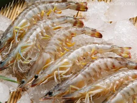 水產(chǎn)品深圳機(jī)場(chǎng)進(jìn)口清關(guān)代理資料如下！