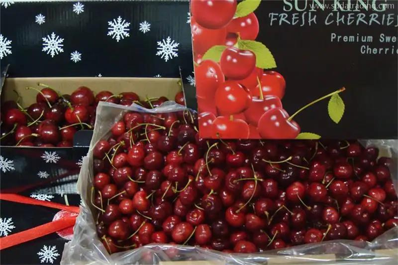 北京水果進(jìn)口報(bào)關(guān)公司推薦哪家代理服務(wù) 北京水果進(jìn)口報(bào)關(guān)公司推薦哪家代理服務(wù)