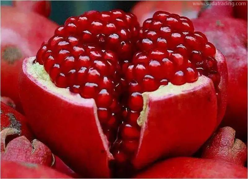 埃及石榴進口清關(guān)石榴進口報關(guān)清關(guān)流程手續(xù) 埃及石榴進口清關(guān)石榴進口報關(guān)清關(guān)流程手續(xù)