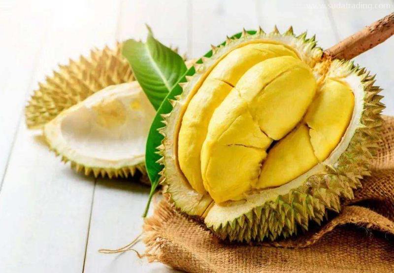 越南榴蓮進(jìn)口報關(guān)流程手續(xù) 越南榴蓮進(jìn)口報關(guān)流程手續(xù)