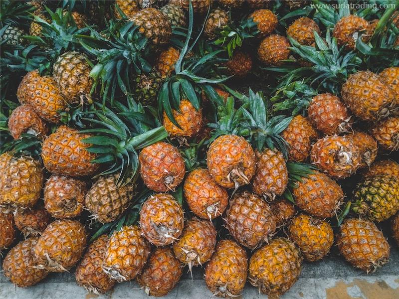 上海進(jìn)口印度尼西亞菠蘿報(bào)關(guān)的流程資料 上海進(jìn)口印度尼西亞菠蘿報(bào)關(guān)的流程資料