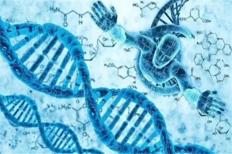 進(jìn)口測試細(xì)胞報(bào)關(guān)要求進(jìn)口動物細(xì)胞資質(zhì)要求 進(jìn)口測試細(xì)胞報(bào)關(guān)要求進(jìn)口動物細(xì)胞資質(zhì)要求