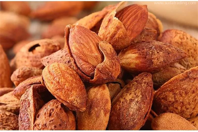 進(jìn)口巴基斯坦干果報(bào)關(guān)一般貿(mào)易進(jìn)口服務(wù) 進(jìn)口巴基斯坦干果報(bào)關(guān)一般貿(mào)易進(jìn)口服務(wù)