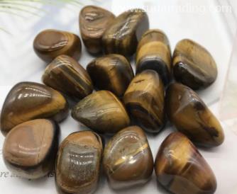 上海進(jìn)口德國(guó)?；穲?bào)關(guān)的注意事項(xiàng)