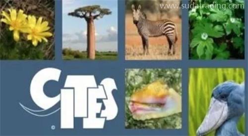 瀕危野生動(dòng)植物及其產(chǎn)品進(jìn)出口小知識(shí) 瀕危野生動(dòng)植物及其產(chǎn)品進(jìn)出口小知識(shí)