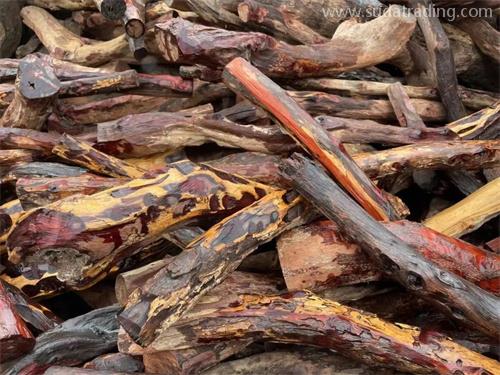 瀕危野生動(dòng)植物及其產(chǎn)品進(jìn)出口小知識(shí) 瀕危野生動(dòng)植物及其產(chǎn)品進(jìn)出口小知識(shí)