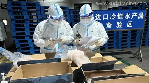 巴沙魚(yú)進(jìn)口報(bào)關(guān)