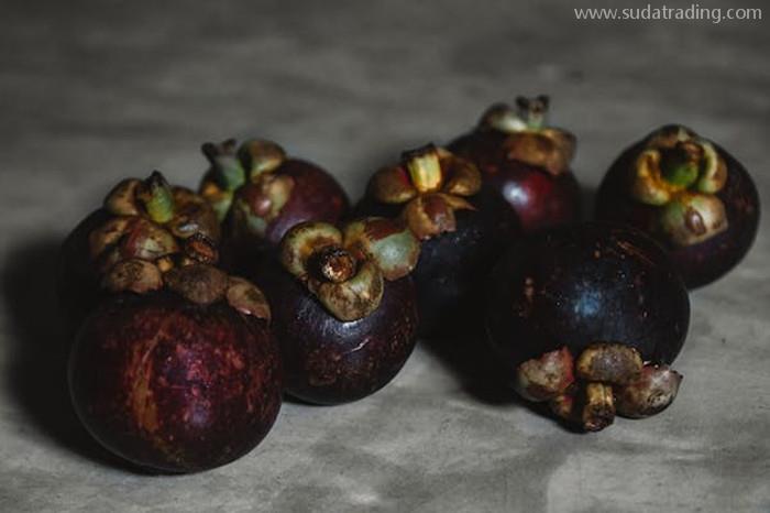 關(guān)于進(jìn)口印尼山竹報(bào)關(guān)的那一兩件事 關(guān)于進(jìn)口印尼山竹報(bào)關(guān)的那一兩件事