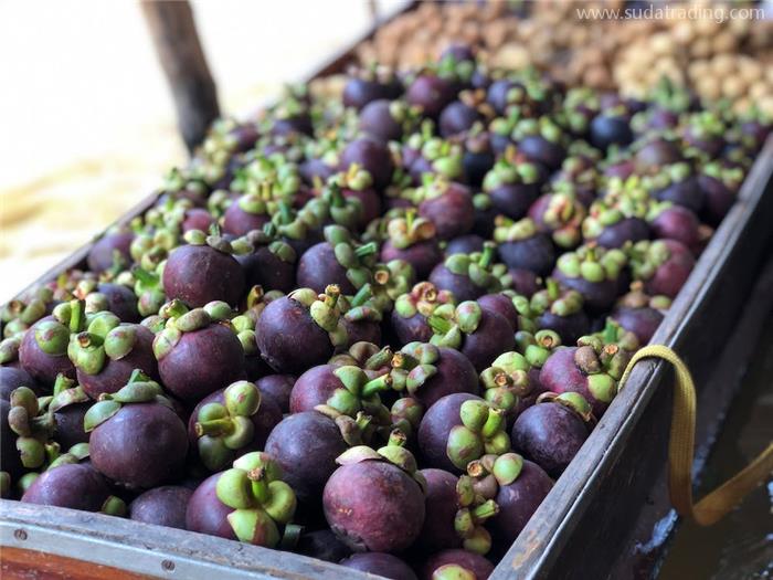 印度尼西亞進口山竹報關(guān)的關(guān)稅以及清關(guān)流程 印度尼西亞進口山竹報關(guān)的關(guān)稅以及清關(guān)流程