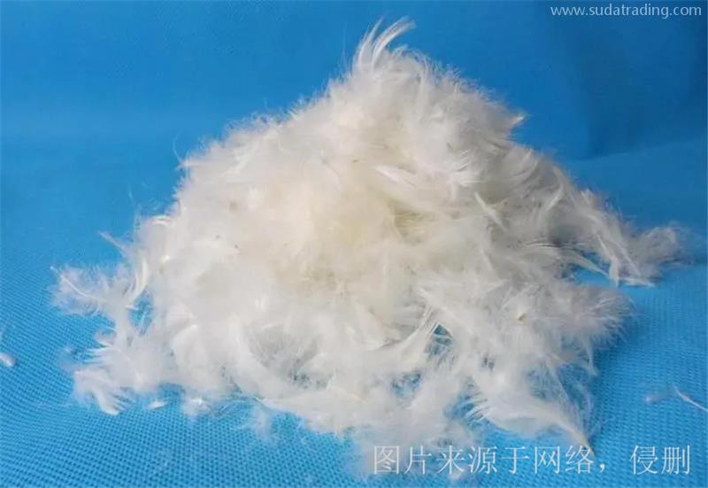 廣西貴港鴨毛進口報關(guān)的注意事項有這5點 廣西貴港鴨毛進口報關(guān)的注意事項有這5點