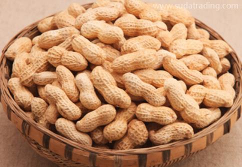 花生進(jìn)口報(bào)關(guān)操作流程 花生進(jìn)口報(bào)關(guān)操作流程