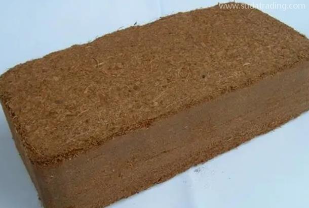 椰糠進(jìn)口報關(guān)清關(guān)單證資料及注意事項