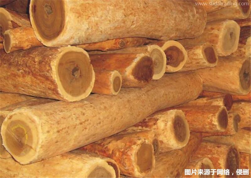 進口印度檀香木報關(guān)的流程瀕危木材報關(guān)代理資料 進口印度檀香木報關(guān)的流程瀕危木材報關(guān)代理資料