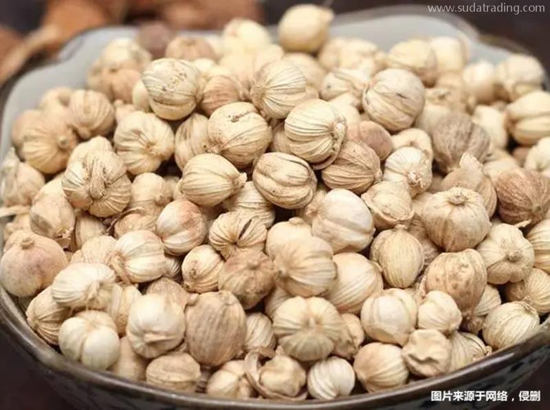 進口老撾豆蔻報關流程進口藥材豆蔻基本流程手續(xù) 進口老撾豆蔻報關流程進口藥材豆蔻基本流程手續(xù)