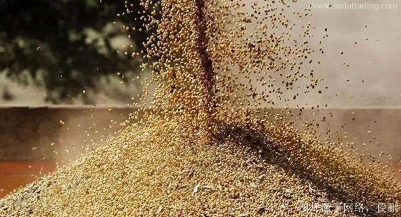 俄羅斯菜籽粕進(jìn)口報(bào)關(guān)資料天津菜籽粕飼料清關(guān)費(fèi)用 俄羅斯菜籽粕進(jìn)口報(bào)關(guān)資料天津菜籽粕飼料清關(guān)費(fèi)用