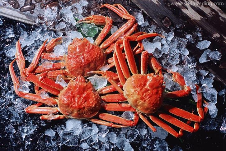 廣州機場進口斯里蘭卡螃蟹報關(guān)費用水產(chǎn)品通關(guān)費 廣州機場進口斯里蘭卡螃蟹報關(guān)費用水產(chǎn)品通關(guān)費