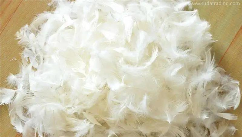 越南鴨毛進(jìn)口報關(guān)資料鴨絨進(jìn)口報關(guān)流程一站式 越南鴨毛進(jìn)口報關(guān)資料鴨絨進(jìn)口報關(guān)流程一站式