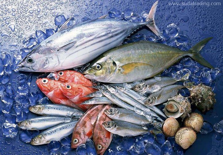 福州海鮮進(jìn)口清關(guān)公司哪家好福建水產(chǎn)品進(jìn)口報(bào)關(guān)行 福州海鮮進(jìn)口清關(guān)公司哪家好福建水產(chǎn)品進(jìn)口報(bào)關(guān)行