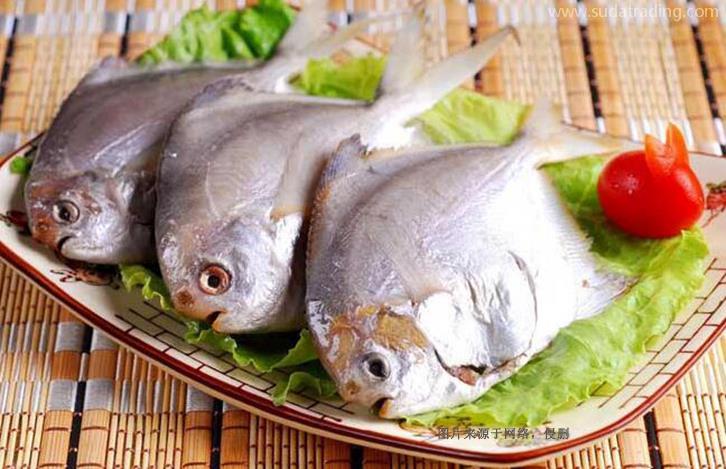 西班牙水產(chǎn)品進(jìn)口報(bào)關(guān)資料流程-全國(guó)10家分公司 西班牙水產(chǎn)品進(jìn)口報(bào)關(guān)資料流程-全國(guó)10家分公司