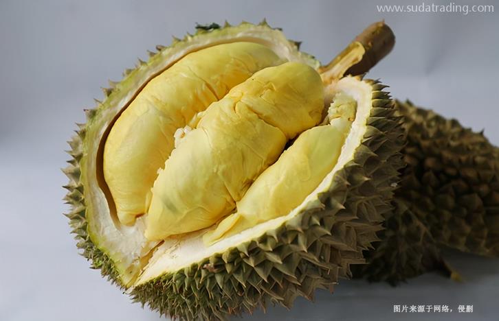 越南榴蓮進(jìn)口清關(guān)資料提供這6樣-19年水果報(bào)關(guān)行 越南榴蓮進(jìn)口清關(guān)資料提供這6樣-19年水果報(bào)關(guān)行