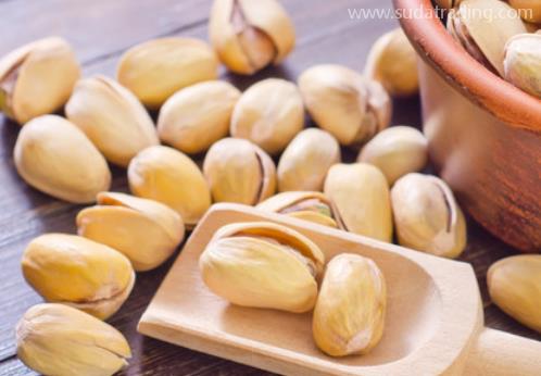 帶你了解開(kāi)心果的進(jìn)口之旅 帶你了解開(kāi)心果的進(jìn)口之旅