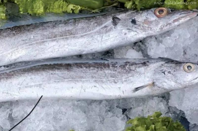 帶魚進口報關(guān)清關(guān)流程 帶魚進口報關(guān)清關(guān)流程