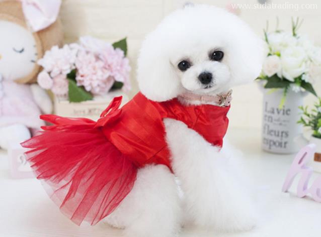 寵物洗護(hù)用品進(jìn)口報關(guān)清關(guān)流程 寵物洗護(hù)用品進(jìn)口報關(guān)清關(guān)流程