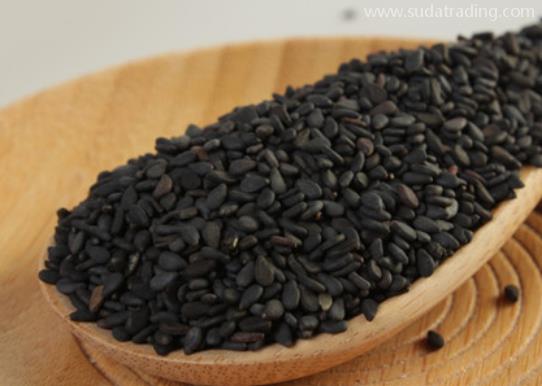 芝麻進(jìn)口報(bào)關(guān)清關(guān)知識(shí) 芝麻進(jìn)口報(bào)關(guān)清關(guān)知識(shí)