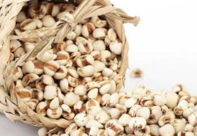 薏米進(jìn)口報(bào)關(guān)清關(guān)流程知識話你知