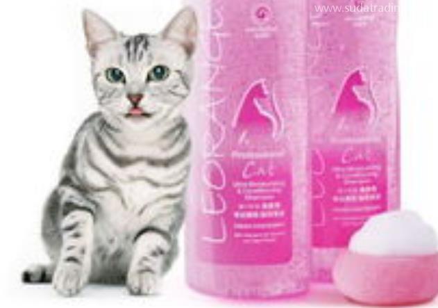 寵物沐浴露進(jìn)口知識詳解 寵物沐浴露進(jìn)口知識詳解