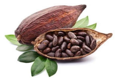 可可豆進(jìn)口報關(guān)清關(guān)流程詳解