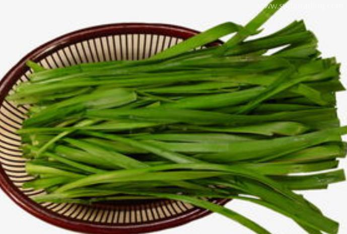 韭菜進(jìn)口報(bào)關(guān)清關(guān)知識(shí)有哪些？