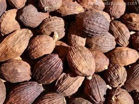 砂仁進(jìn)口規(guī)范申報(bào)步驟 砂仁進(jìn)口規(guī)范申報(bào)步驟