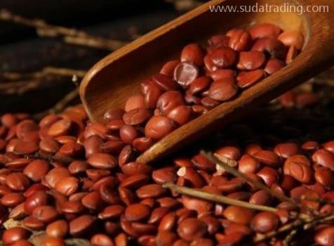 酸棗仁進口報關(guān)清關(guān)流程詳解 酸棗仁進口報關(guān)清關(guān)流程詳解