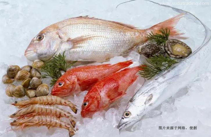 上海進(jìn)口巴基斯坦水產(chǎn)品報(bào)關(guān)資料冷凍魚蝦蟹清關(guān) 上海進(jìn)口巴基斯坦水產(chǎn)品報(bào)關(guān)資料冷凍魚蝦蟹清關(guān)