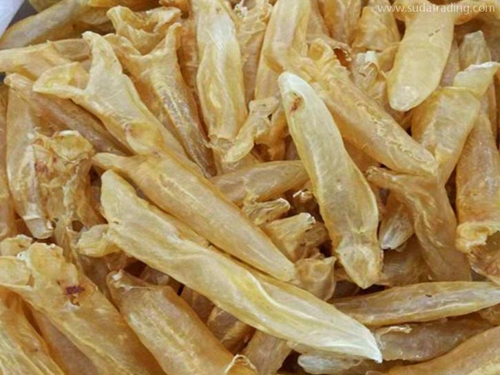 上海進(jìn)口印尼魚翅報關(guān)資料水產(chǎn)品快速通關(guān)指南 上海進(jìn)口印尼魚翅報關(guān)資料水產(chǎn)品快速通關(guān)指南