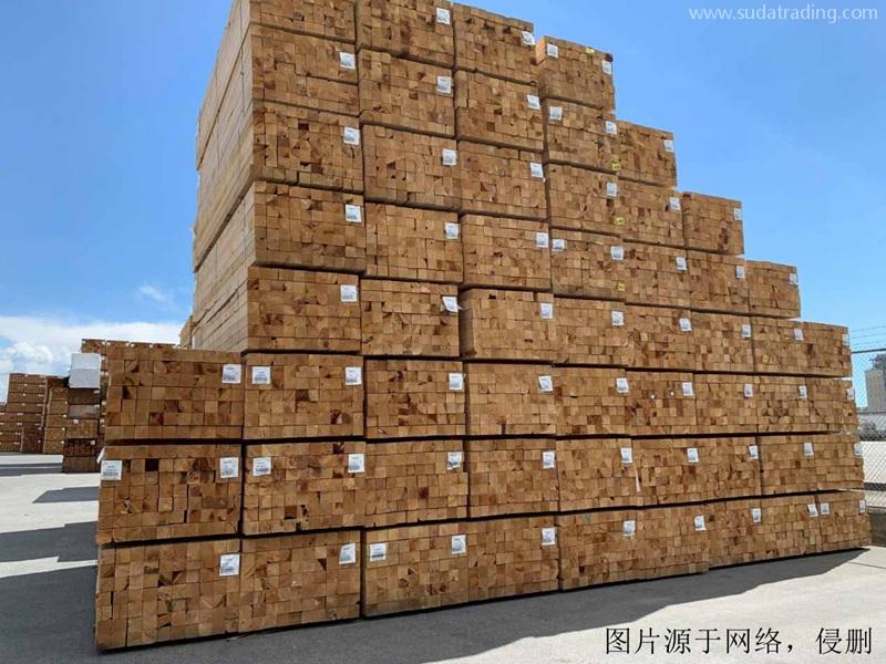 白俄羅斯進口報關(guān)公司哪家好？白俄羅斯木材清關(guān)流程