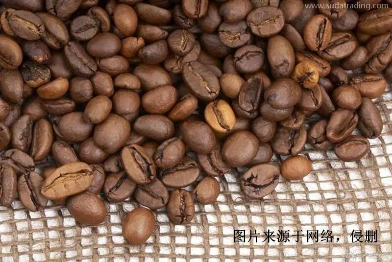 印尼進口報關行哪家好？印度尼西亞可可豆清關資料