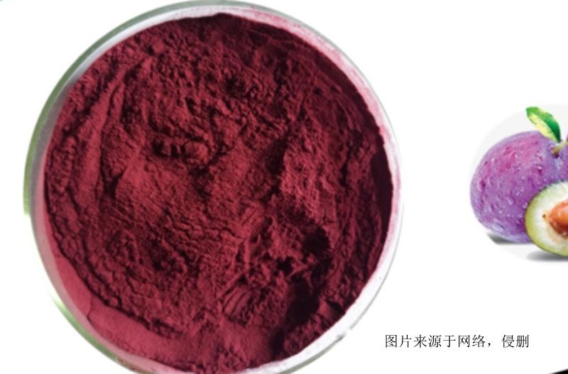 智利西梅果粉進(jìn)口報(bào)關(guān)資料-20年廣州食品原料報(bào)關(guān)行 智利西梅果粉進(jìn)口報(bào)關(guān)資料-20年廣州食品原料報(bào)關(guān)行