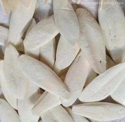 墨魚骨如何進口清關？