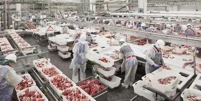 【進(jìn)口知識(shí)】進(jìn)口俄羅斯牛肉檢驗(yàn)檢疫和衛(wèi)生要求