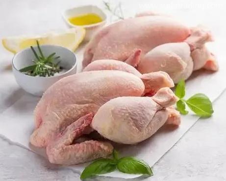 【進(jìn)口知識(shí)】帶你了解進(jìn)口雞類產(chǎn)品的世界 【進(jìn)口知識(shí)】帶你了解進(jìn)口雞類產(chǎn)品的世界