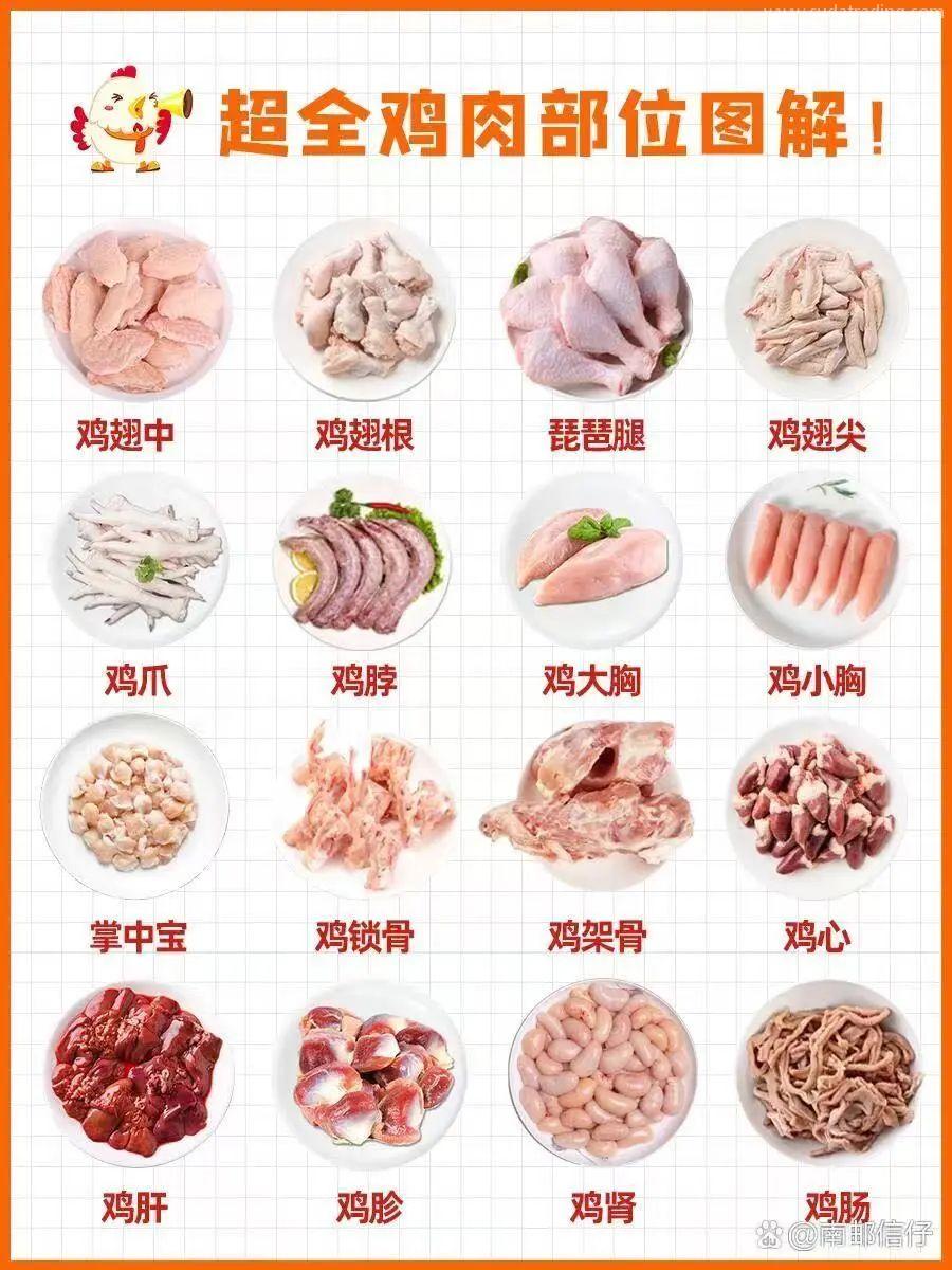 【進(jìn)口知識(shí)】帶你了解進(jìn)口雞類產(chǎn)品的世界 【進(jìn)口知識(shí)】帶你了解進(jìn)口雞類產(chǎn)品的世界