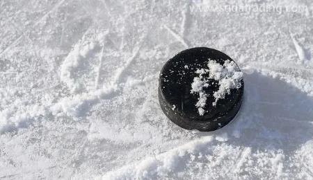 【進(jìn)口知識(shí)】冰雪運(yùn)動(dòng)器械的歸類“密碼”